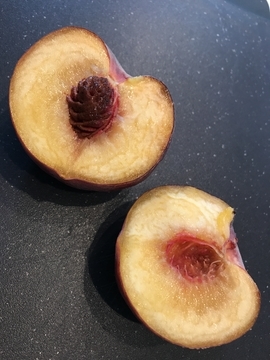 f:id:ducky26:20190819183842j:plain