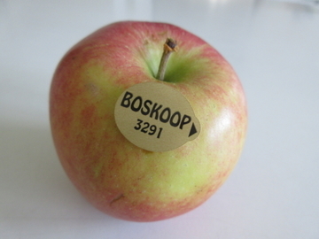 f:id:ducky26:20191126060605j:plain