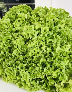 おうちでイタリアン エンダイブ イタリアの野菜炒めのお話 ドイツ生活 デュッセルドルフのお料理教室から