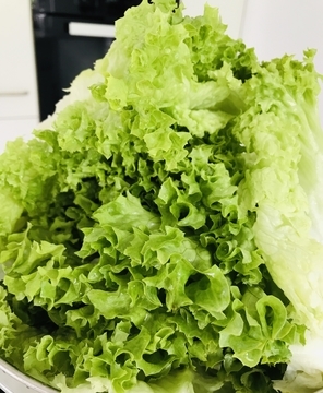 おうちでイタリアン エンダイブ イタリアの野菜炒めのお話 ドイツ生活 デュッセルドルフのお料理教室から