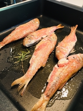 f:id:ducky26:20200506034529j:plain