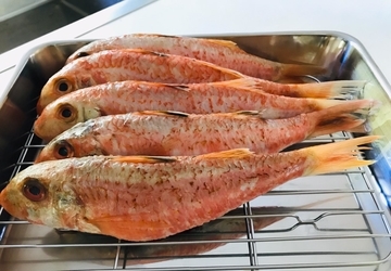 f:id:ducky26:20200506180159j:plain