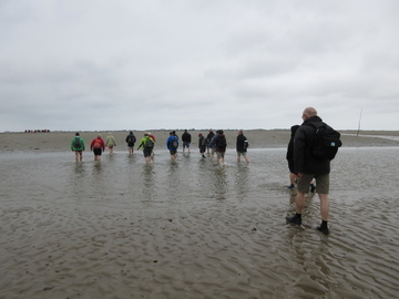 f:id:ducky26:20200508151337j:plain