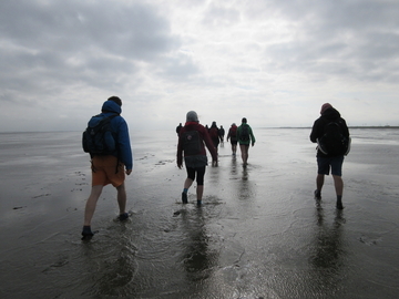 f:id:ducky26:20200508151341j:plain