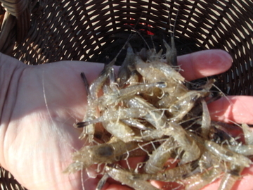 f:id:ducky26:20200508154306j:plain