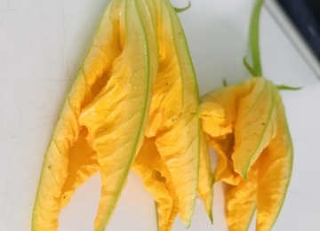 f:id:ducky26:20200617210438j:plain