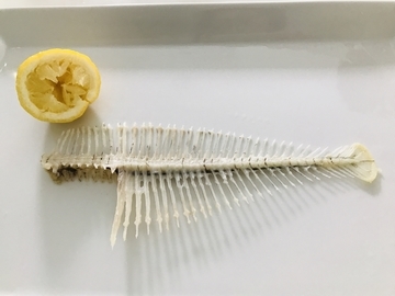 f:id:ducky26:20200620203902j:plain