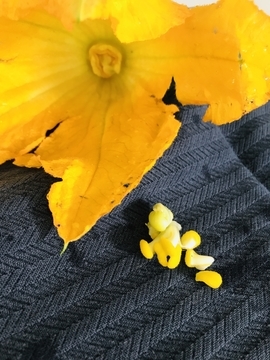 f:id:ducky26:20200703185711j:plain