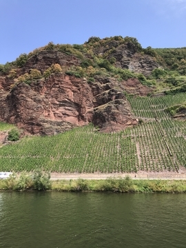 f:id:ducky26:20200817181246j:plain