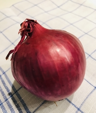 f:id:ducky26:20201223030941j:plain