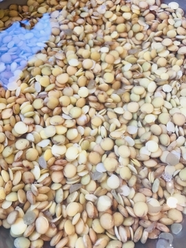 f:id:ducky26:20210121185404j:plain