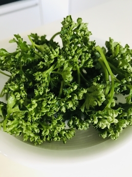 f:id:ducky26:20210121185631j:plain