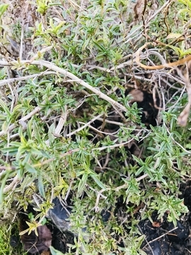 f:id:ducky26:20210121233248j:plain