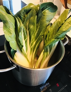 f:id:ducky26:20210312033005j:plain