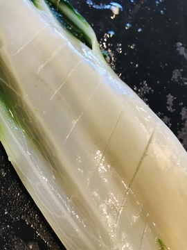 f:id:ducky26:20210312033822j:plain