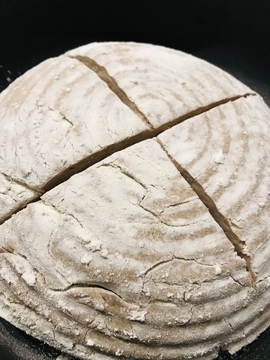 f:id:ducky26:20210321172127j:plain