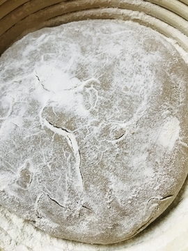 f:id:ducky26:20210321172137j:plain