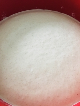 f:id:ducky26:20210330212129j:plain