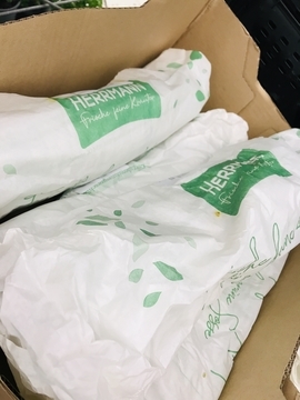 f:id:ducky26:20210417041804j:plain