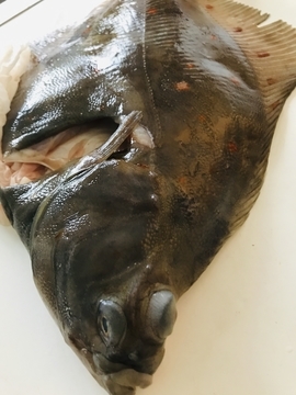 f:id:ducky26:20210430025546j:plain