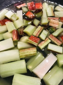 f:id:ducky26:20210528161747j:plain