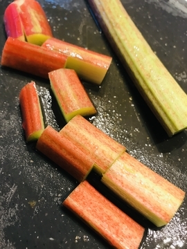 f:id:ducky26:20210528161757j:plain