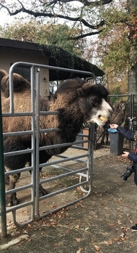 f:id:ducky26:20211107203612j:plain