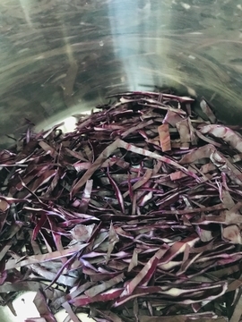 f:id:ducky26:20211110182209j:plain