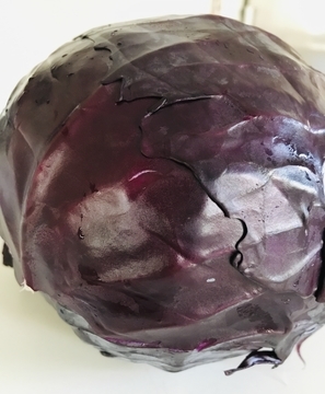 f:id:ducky26:20211110182237j:plain