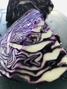 f:id:ducky26:20211110182419j:plain