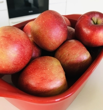 f:id:ducky26:20220218005633j:plain