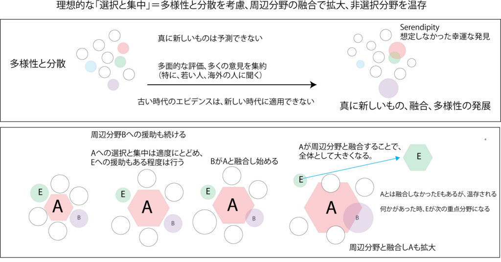 日本の 選択と集中 の何が問題なのか 図 わがまま科学者