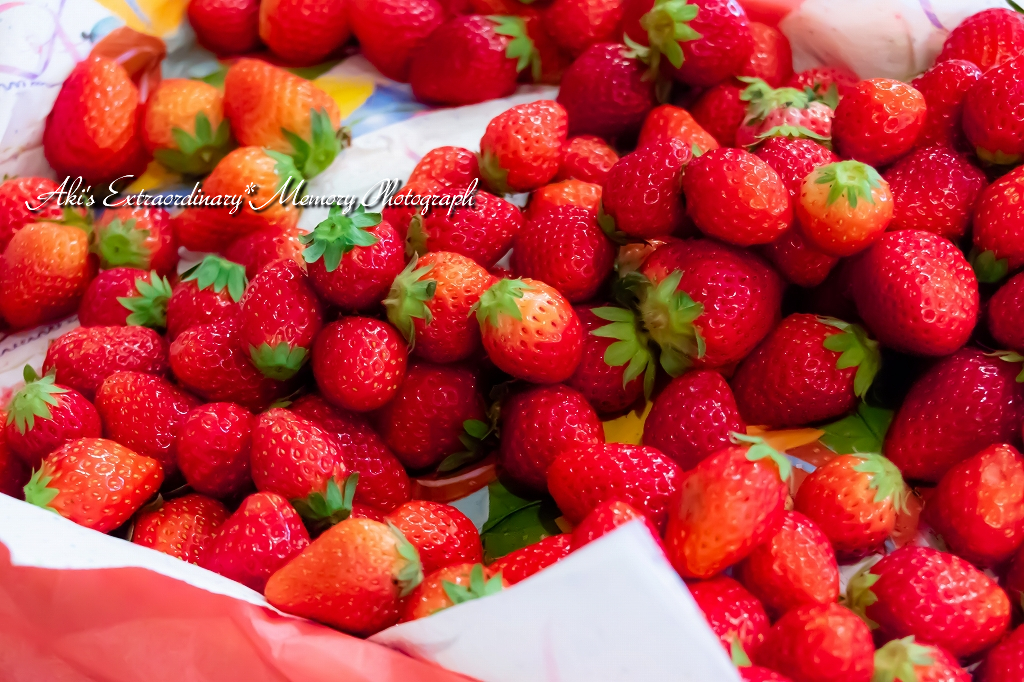 f:id:dufcafeooakioo:20180406015322j:plain f:id:dufcafeooakioo:20180406015322j:plain