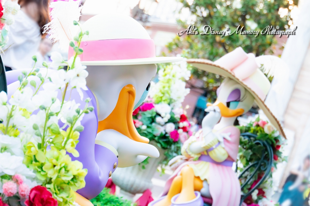f:id:dufcafeooakioo:20180527164018j:plain f:id:dufcafeooakioo:20180527164018j:plain