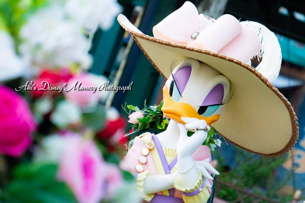 f:id:dufcafeooakioo:20180527164026j:plain f:id:dufcafeooakioo:20180527164026j:plain