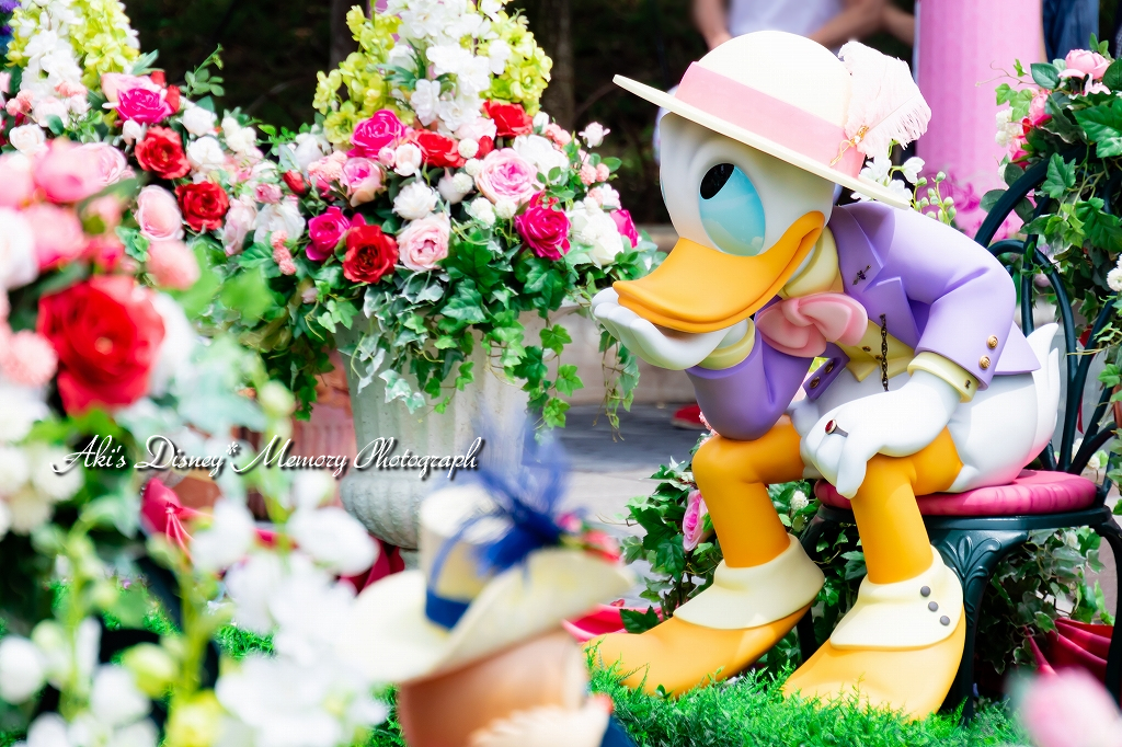 f:id:dufcafeooakioo:20180527164031j:plain f:id:dufcafeooakioo:20180527164031j:plain