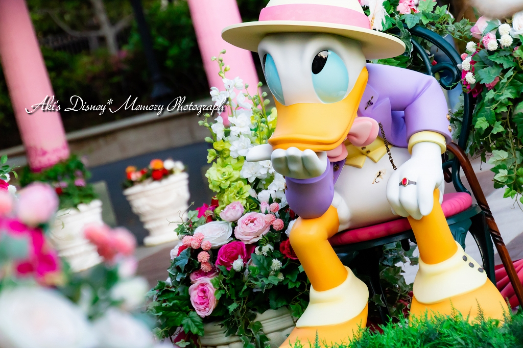 f:id:dufcafeooakioo:20180527164034j:plain f:id:dufcafeooakioo:20180527164034j:plain