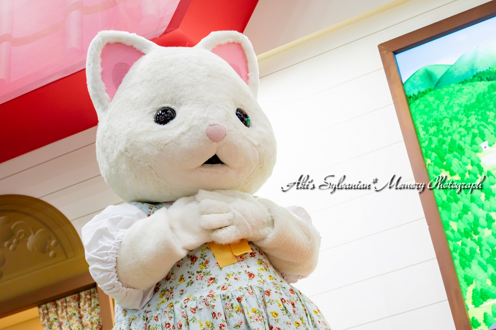 f:id:dufcafeooakioo:20180613030334j:plain f:id:dufcafeooakioo:20180613030334j:plain