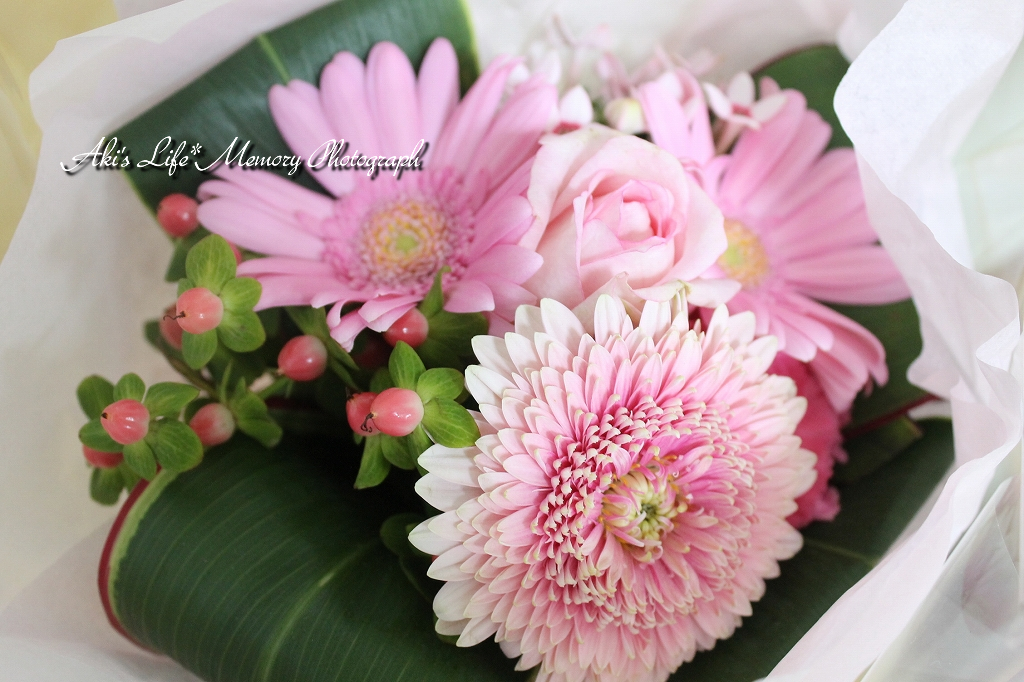f:id:dufcafeooakioo:20190214185408j:plain
