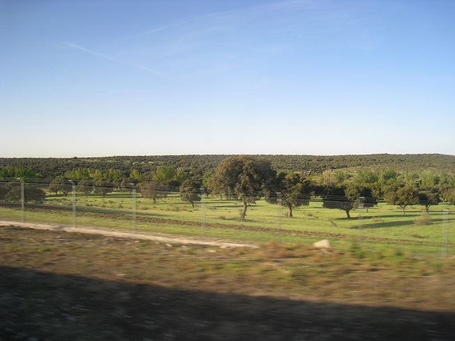 f:id:duffytravel:20200416230835j:plain f:id:duffytravel:20200416230835j:plain
