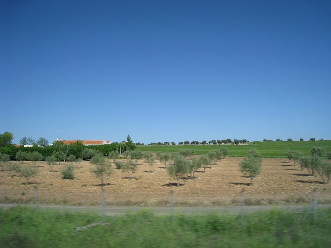 f:id:duffytravel:20200416231013j:plain f:id:duffytravel:20200416231013j:plain