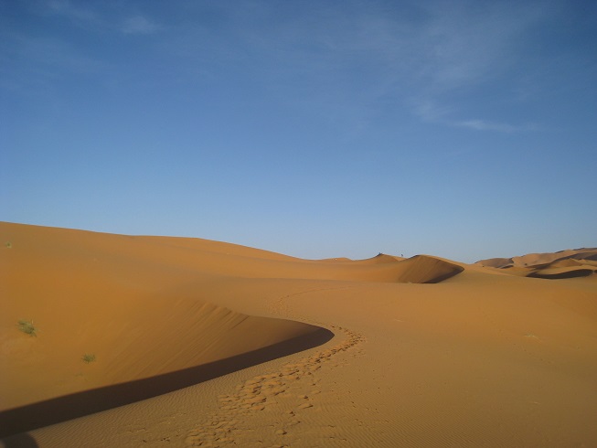 f:id:duffytravel:20200425232127j:plain f:id:duffytravel:20200425232127j:plain