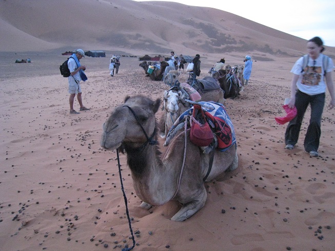 f:id:duffytravel:20200425232201j:plain f:id:duffytravel:20200425232201j:plain