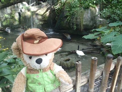 f:id:duffytravel:20200519221217j:plain f:id:duffytravel:20200519221217j:plain