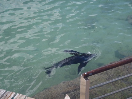 f:id:duffytravel:20200530003529j:plain f:id:duffytravel:20200530003529j:plain