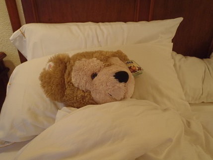 f:id:duffytravel:20200530003707j:plain f:id:duffytravel:20200530003707j:plain