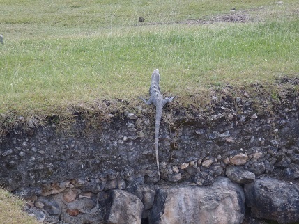 f:id:duffytravel:20200530224330j:plain f:id:duffytravel:20200530224330j:plain