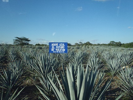 f:id:duffytravel:20200530224424j:plain f:id:duffytravel:20200530224424j:plain