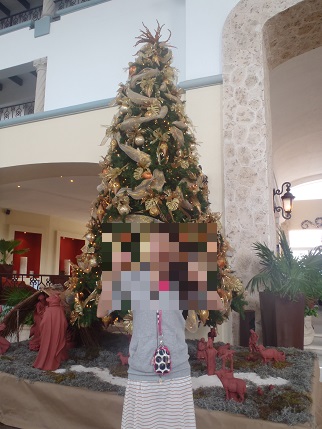 f:id:duffytravel:20200602224709j:plain f:id:duffytravel:20200602224709j:plain
