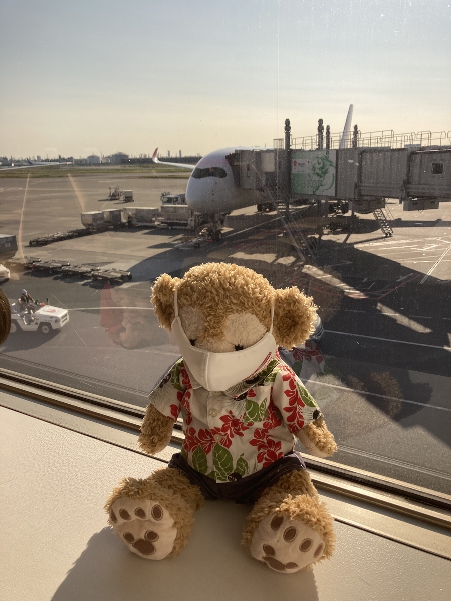 f:id:duffytravel:20201203225935j:plain